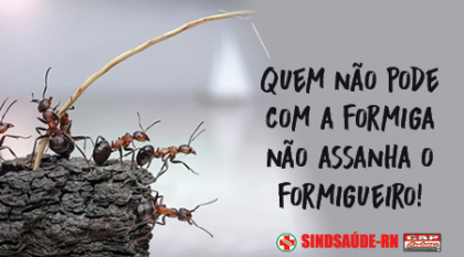 Imagem da noticia destaque