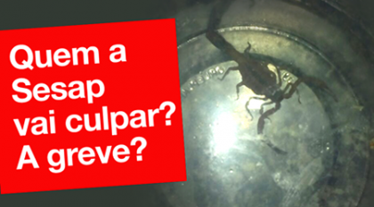 Imagem da noticia destaque