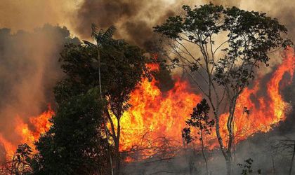 Imagem da noticia destaque