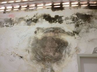 Imagem da noticia destaque