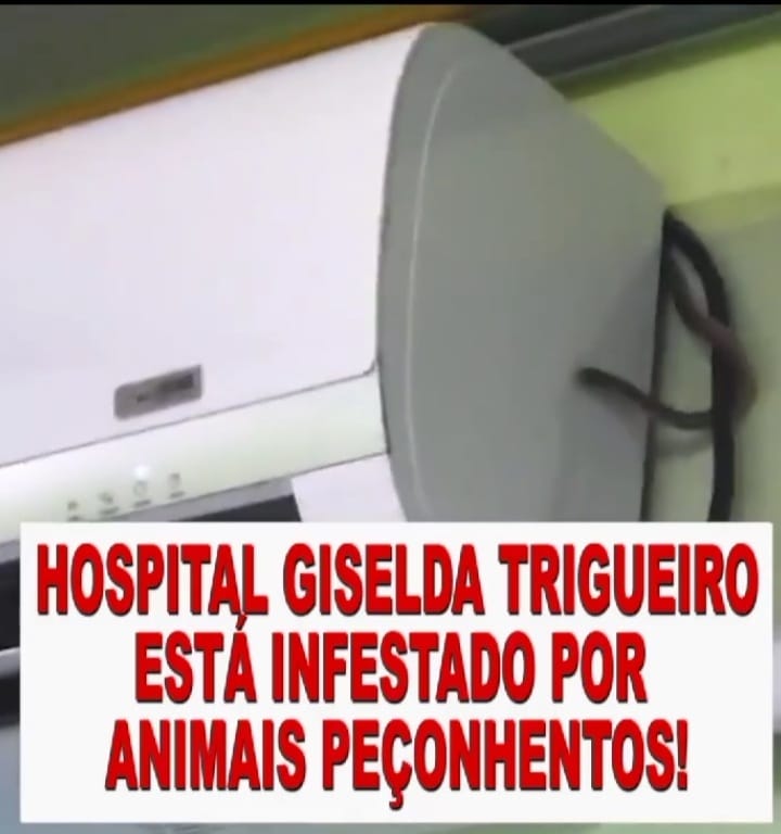 Imagem da noticia destaque