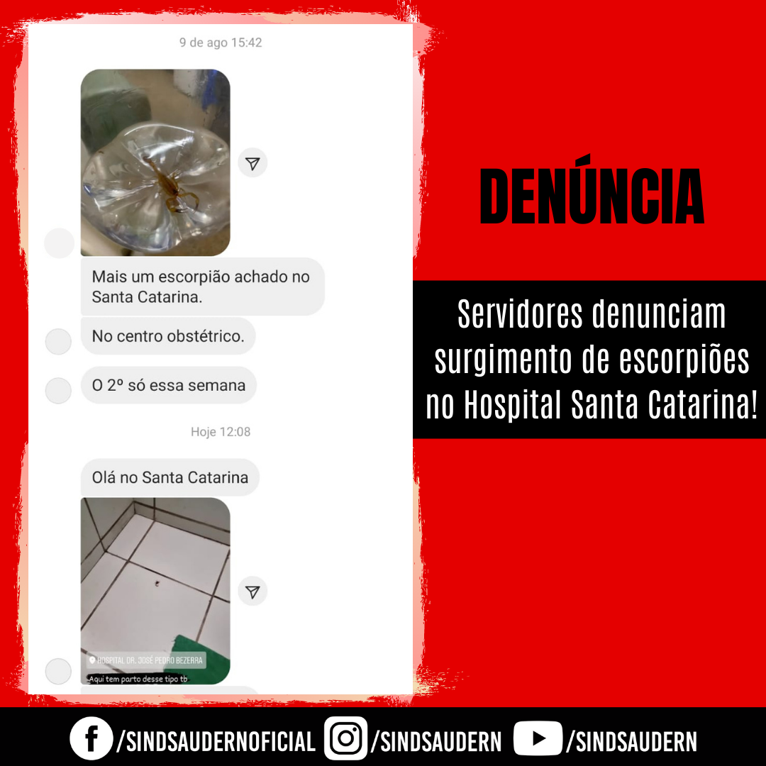 Imagem da noticia destaque