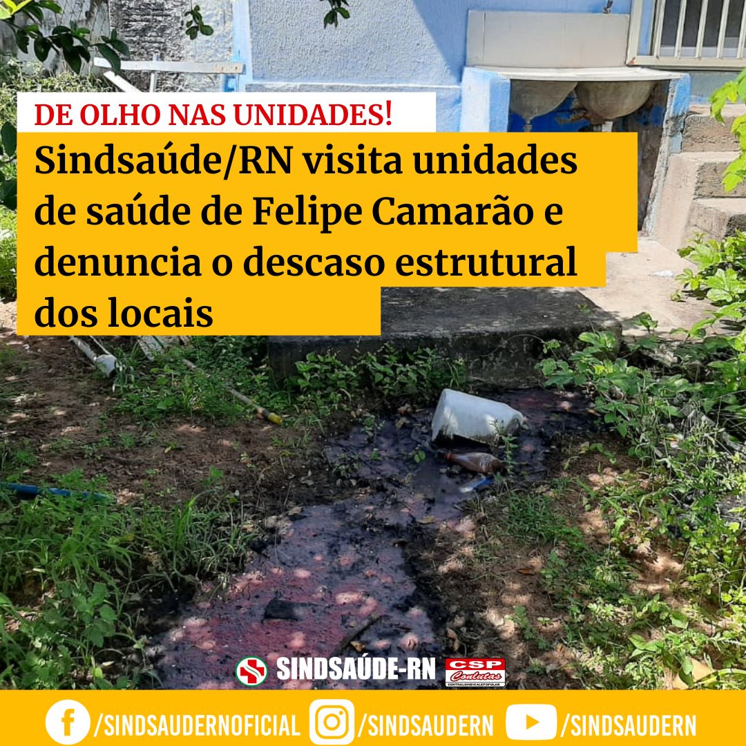 Imagem da noticia destaque