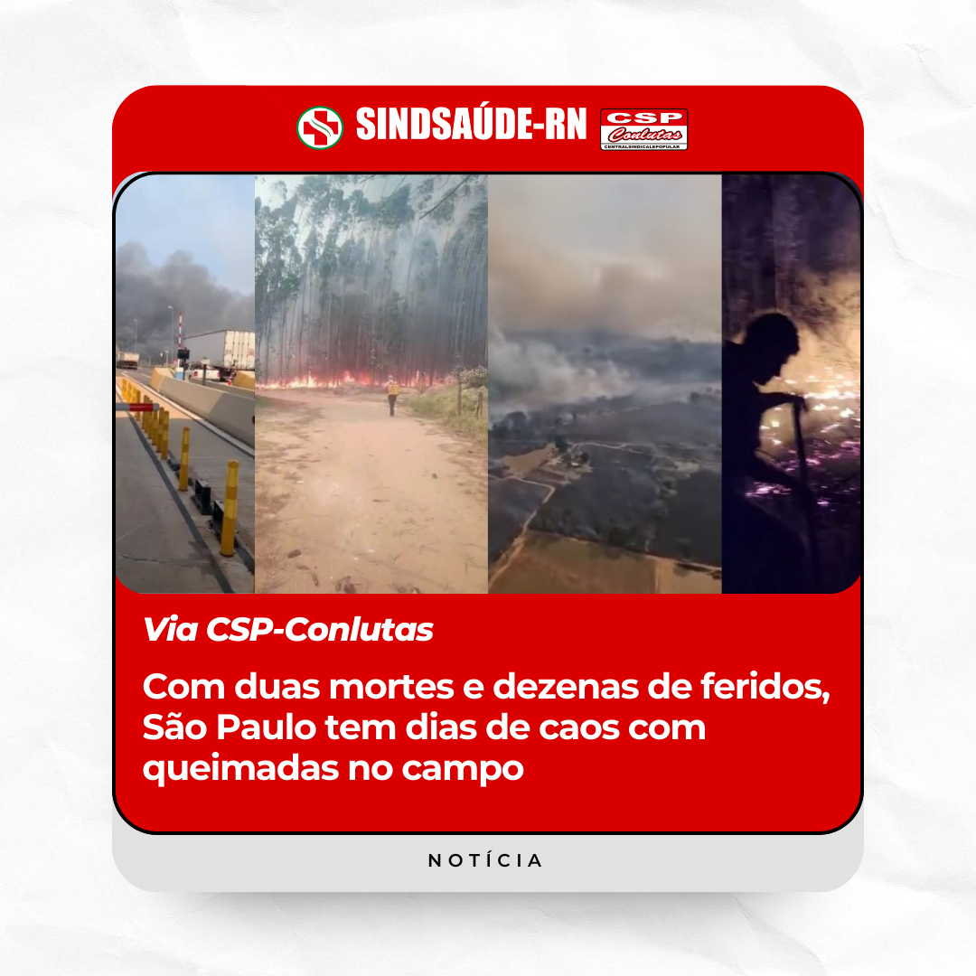 Imagem da noticia destaque maior