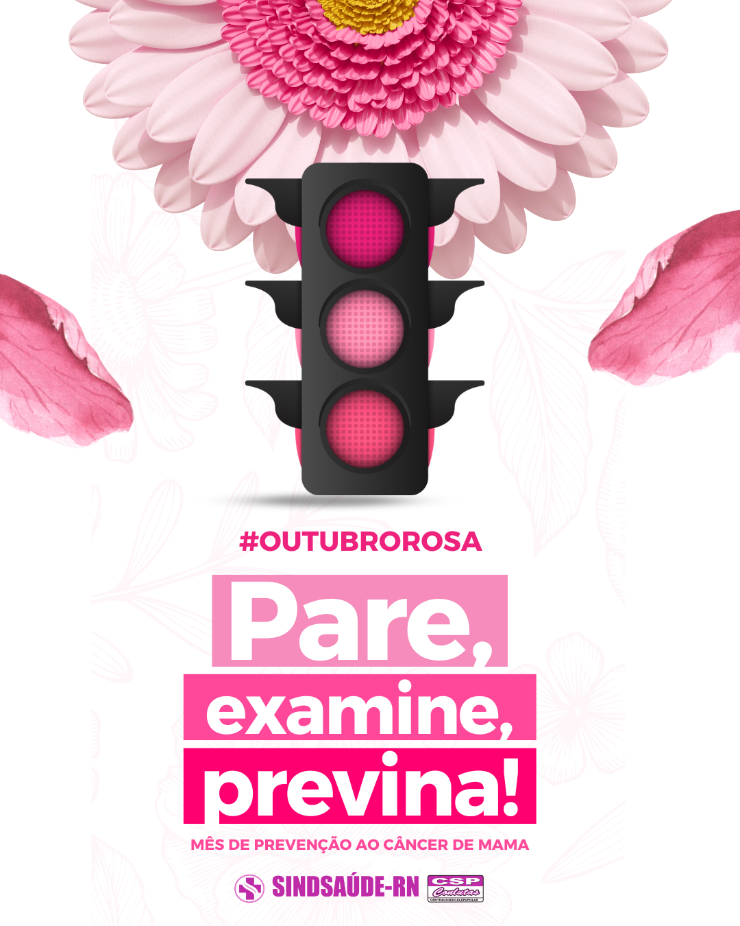 Imagem da noticia destaque maior