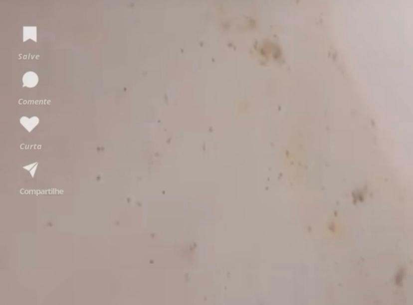 Imagem da noticia destaque