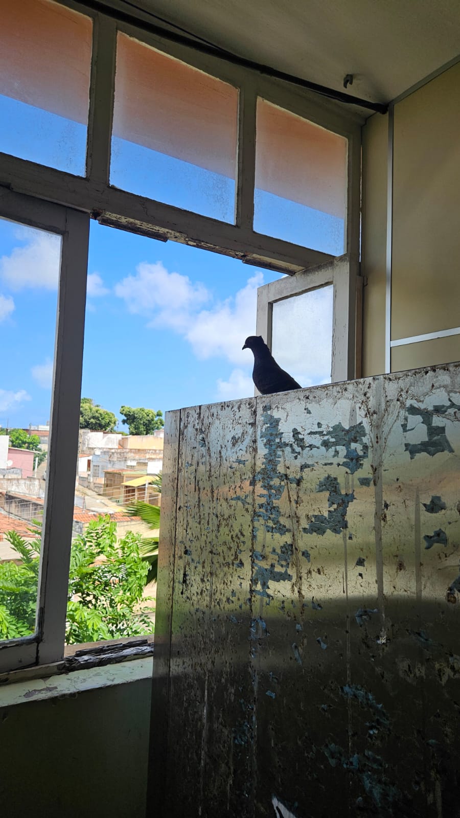 Imagem da noticia destaque maior